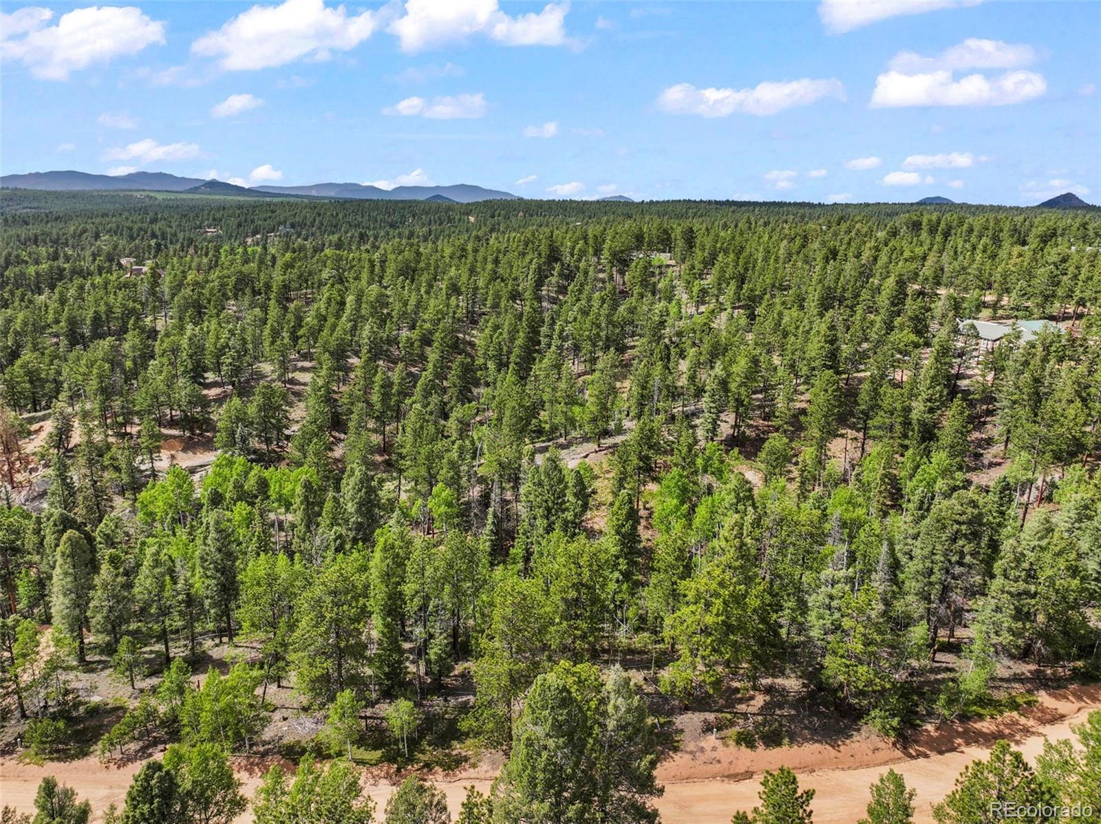 65 Spruce Creek Road Divide, CO 80814 - Photo 3 of 21