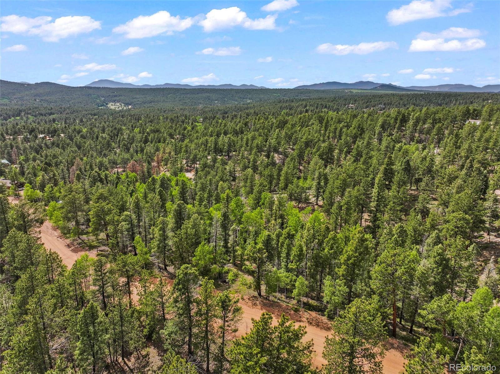 65 Spruce Creek Road Divide, CO 80814 - Photo 4 of 21