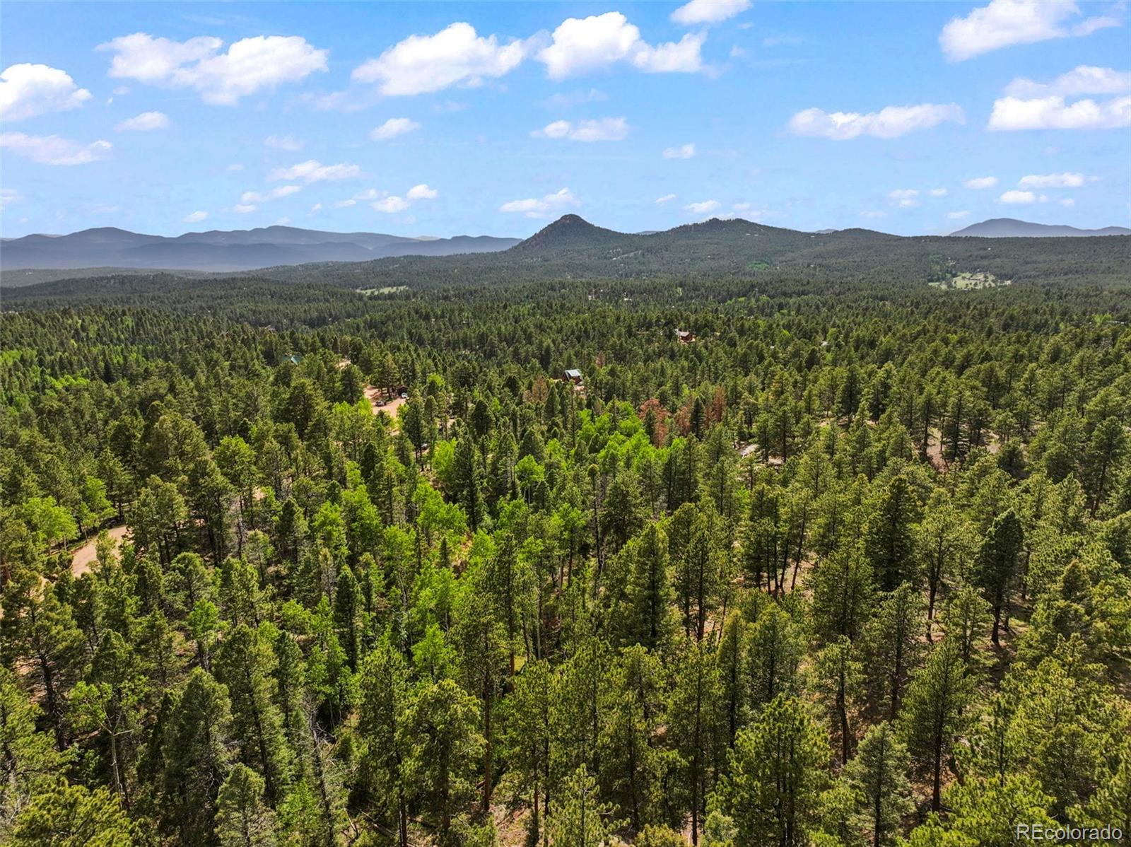 65 Spruce Creek Road Divide, CO 80814 - Photo 6 of 21