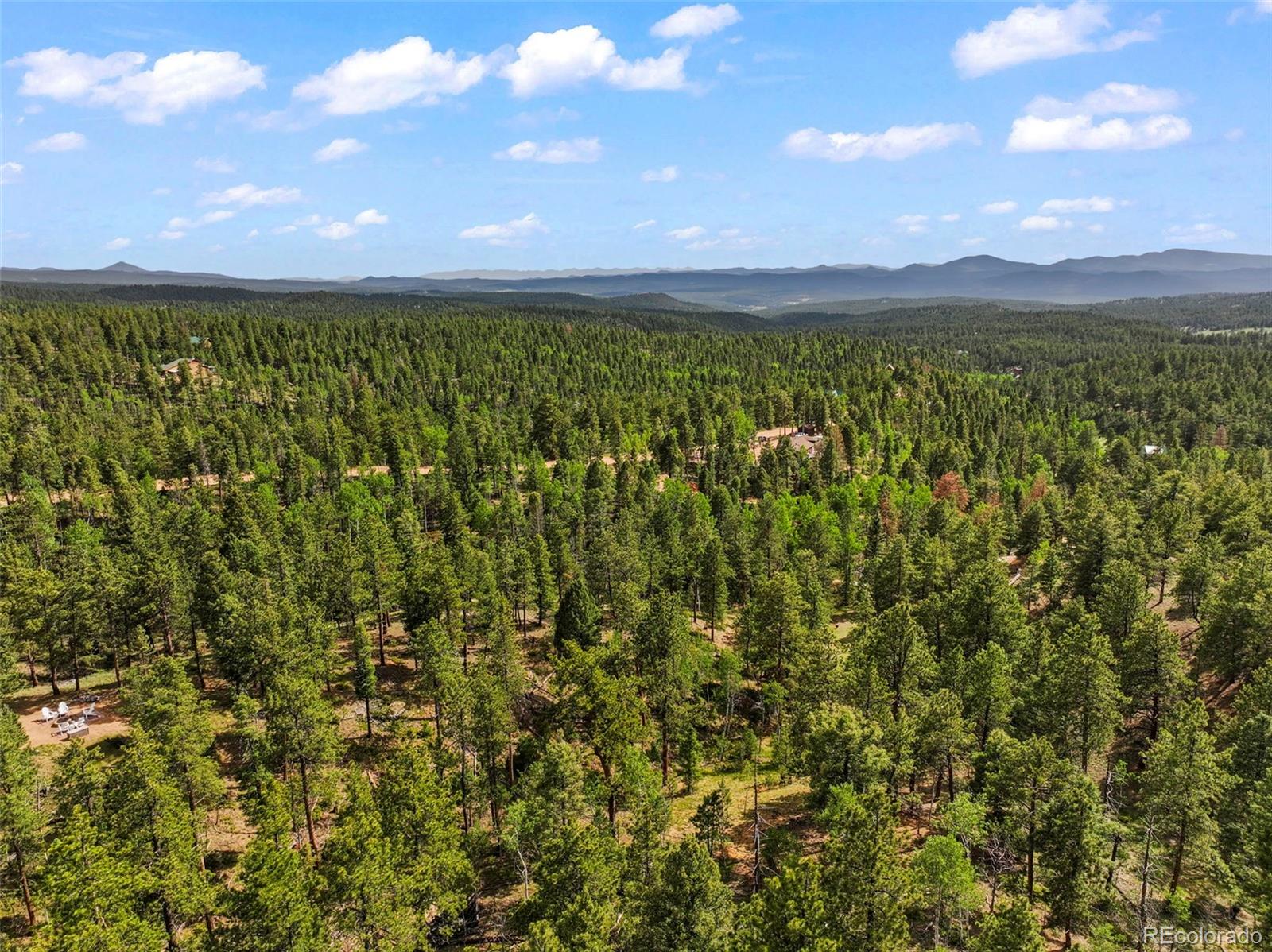 65 Spruce Creek Road Divide, CO 80814 - Photo 7 of 21