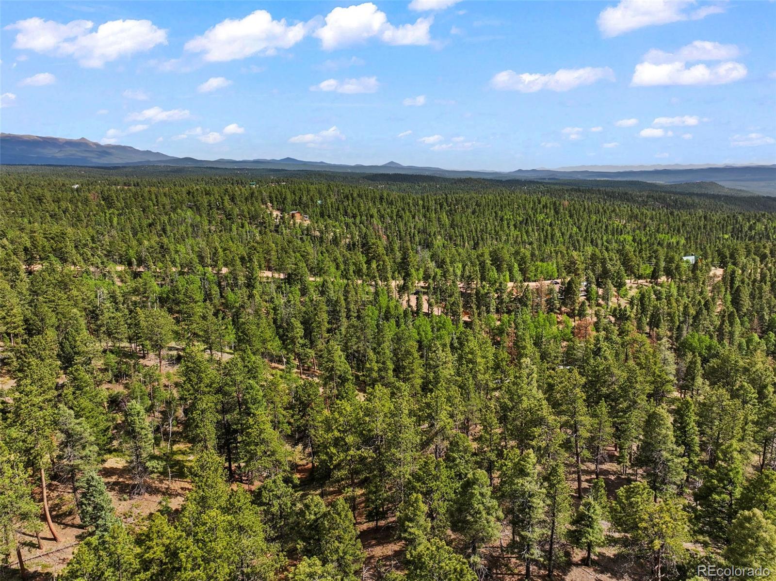 65 Spruce Creek Road Divide, CO 80814 - Photo 8 of 21