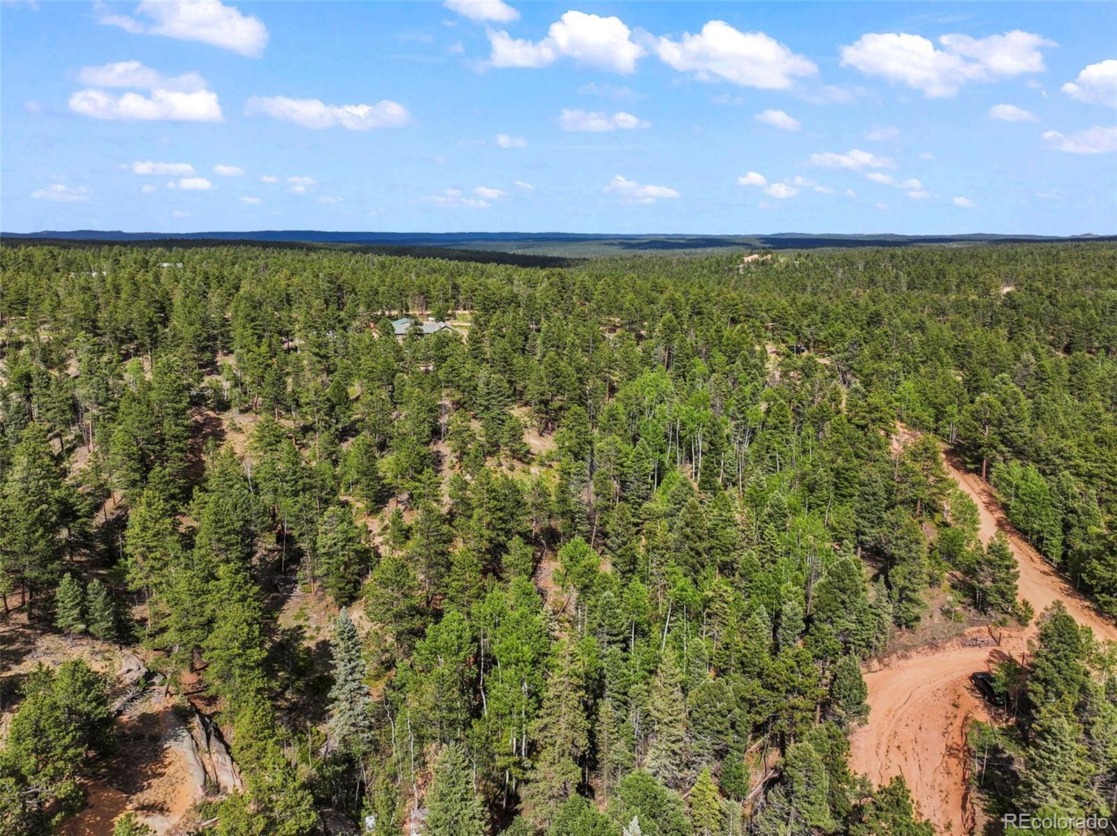 65 Spruce Creek Road Divide, CO 80814 - Photo 10 of 21