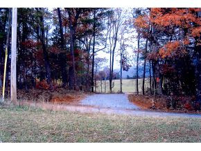 2120 White Sands Road Greeneville, TN 37743 - Photo 1 of 2 Photo 1