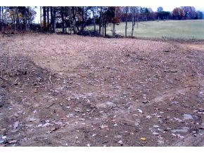 2120 White Sands Road Greeneville, TN 37743 - Photo 2 of 2 Photo 2
