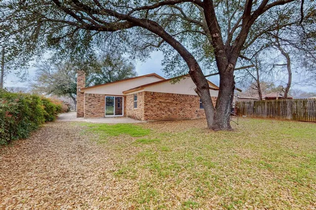 a view of a yard with a tree