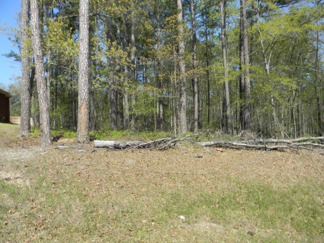 3913 Scott Street Augusta, GA 30909 - Photo 1 of 1 Main View