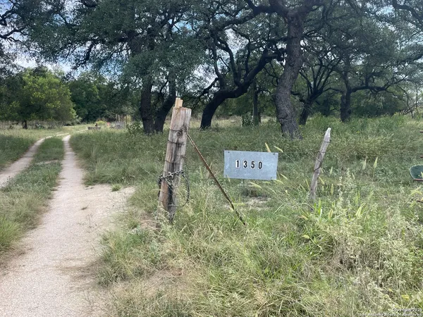 a sign board with tall trees