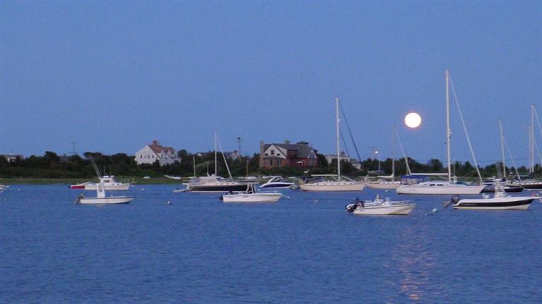 a view of a lake with boats and trees