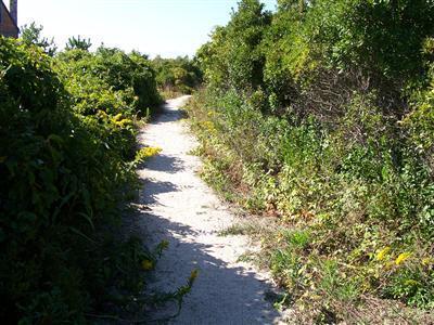 326 Morris Island Road Chatham, MA 02633 - Photo 30 of 34 a view of a yard with plants