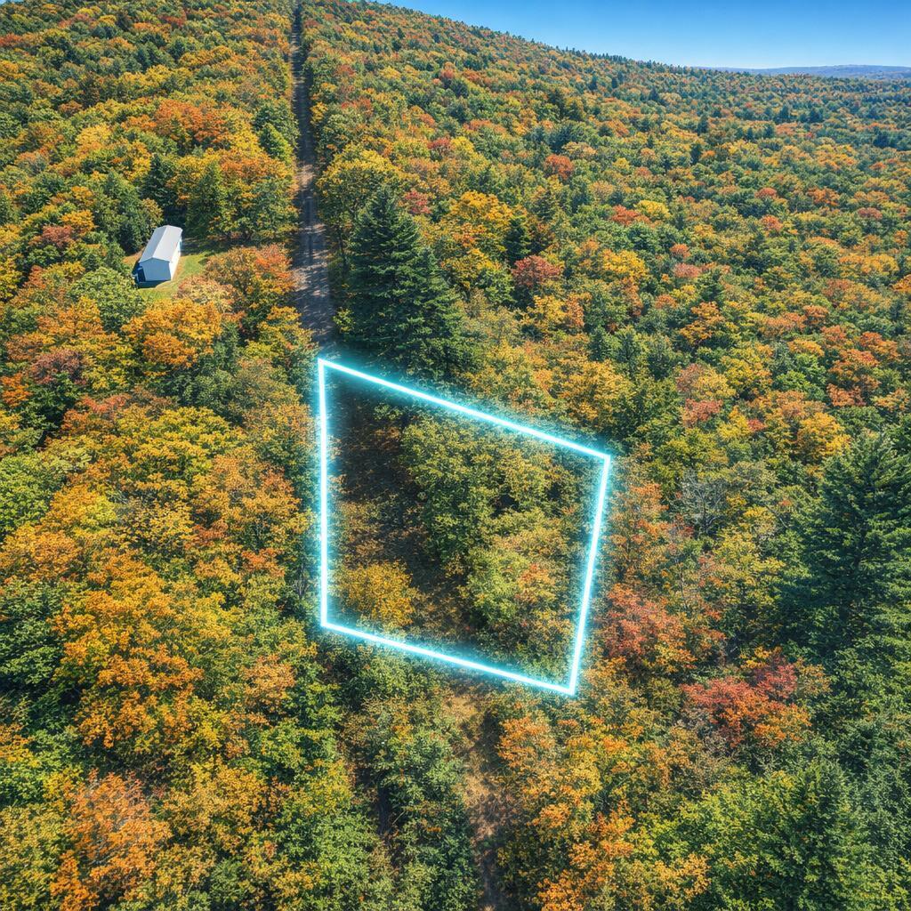 0 McDearmon Road Montvale, VA 24122 - Photo 1 of 12 87 A 32 photo 1