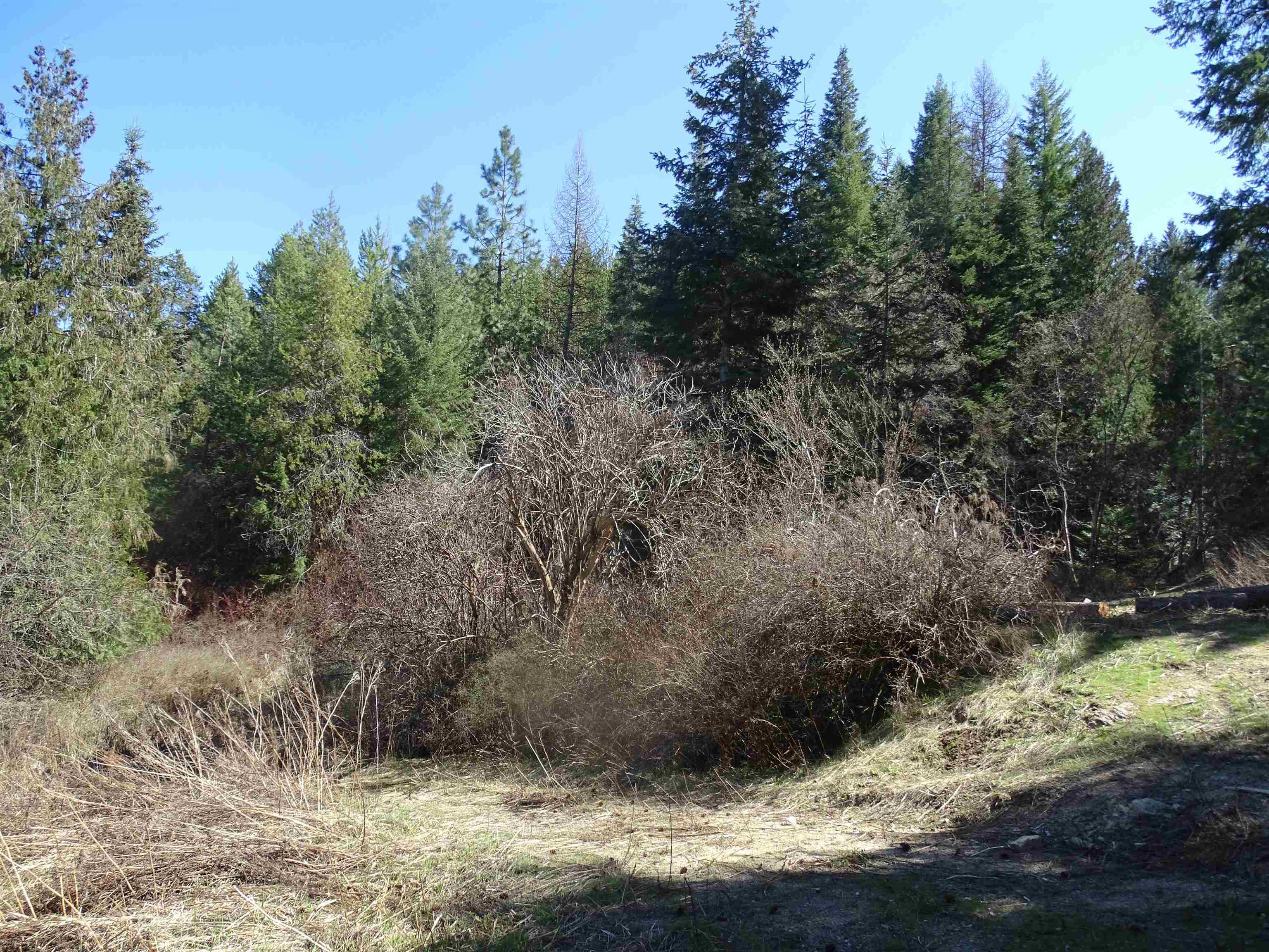 17208 East Blanchard Road Elk, WA 99009 - Photo 13 of 28