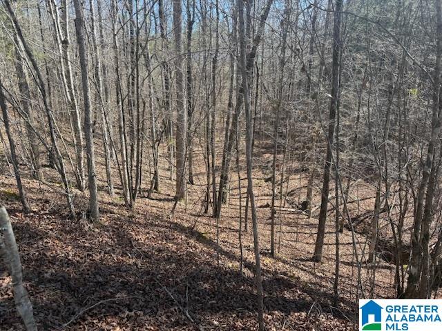 Pate Road Cragford, AL 36255 - Photo 3 of 4
