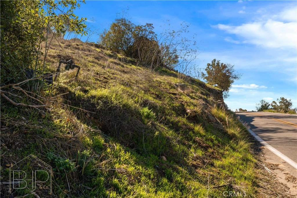 5540 Rainbow Heights Road Fallbrook, CA 92028 - Photo 11 of 12 a view of a yard