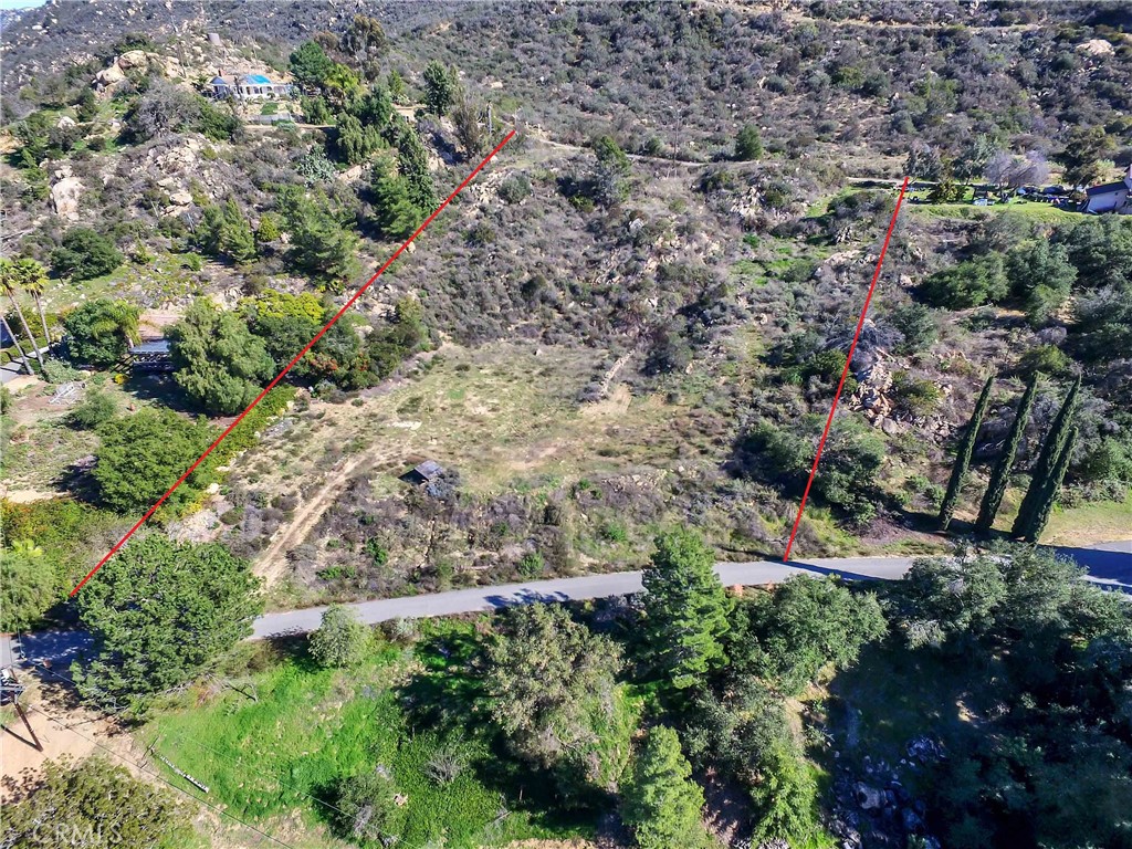 5540 Rainbow Heights Road Fallbrook, CA 92028 - Photo 7 of 12 a view of a yard with plants and large trees