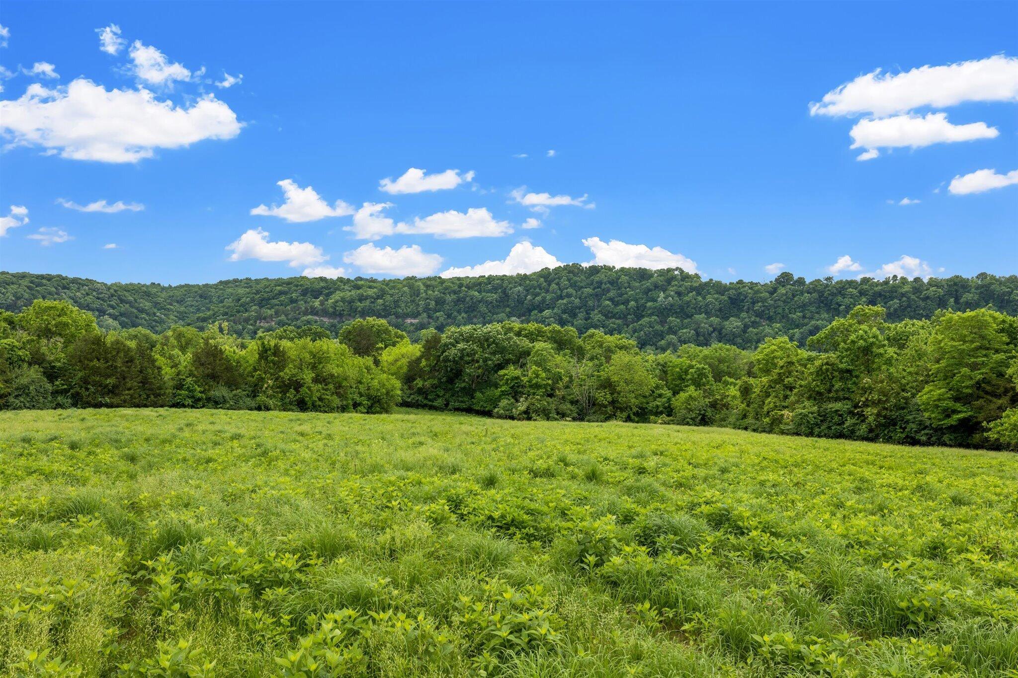 3605 Watts Ferry Road Frankfort, KY 40601 - Photo 163 of 181 146-0J2A8862