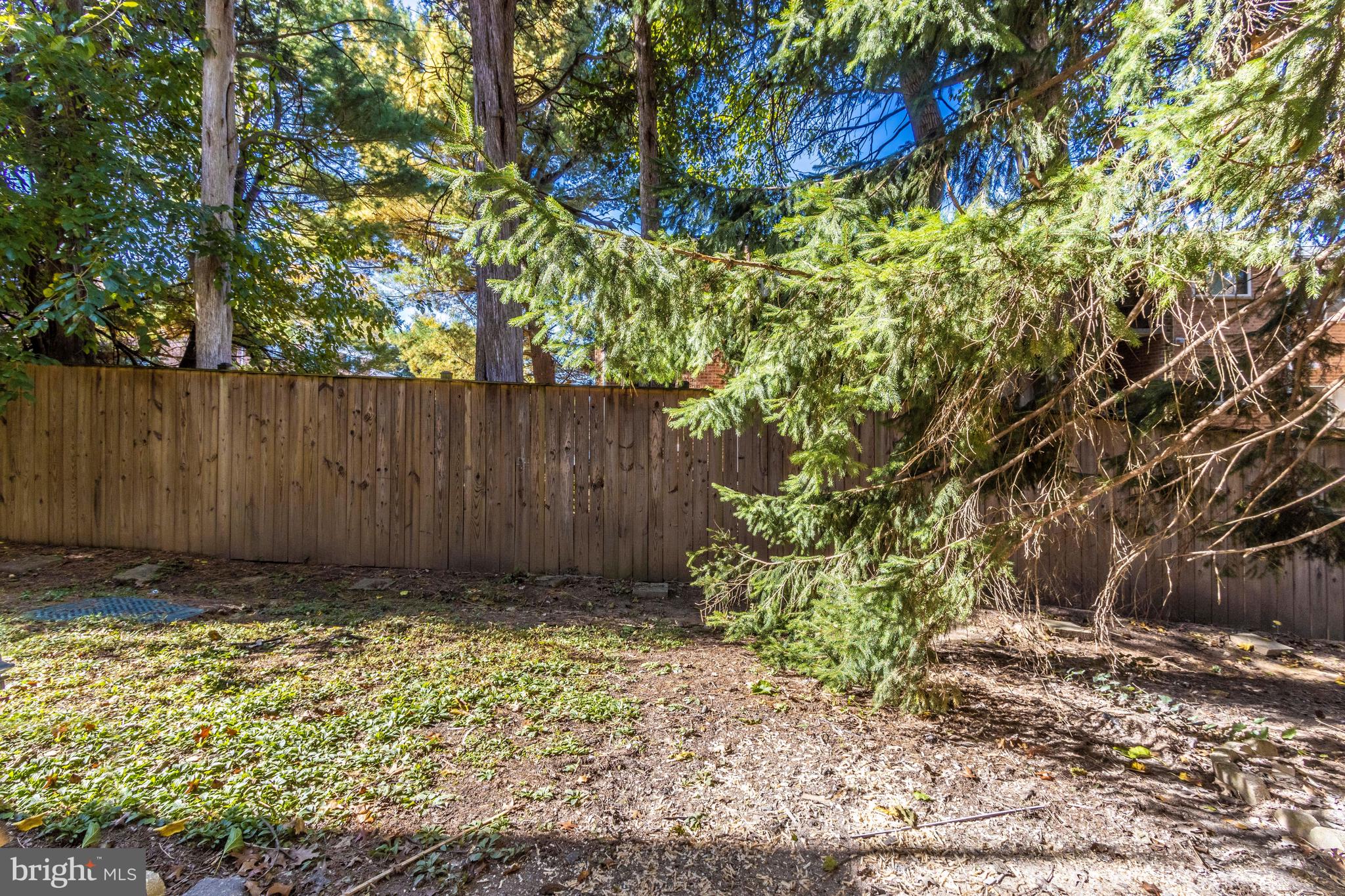 3342 Hewitt Avenue, Unit 31B Silver Spring, MD 20906 - Photo 49 of 71 Backyard