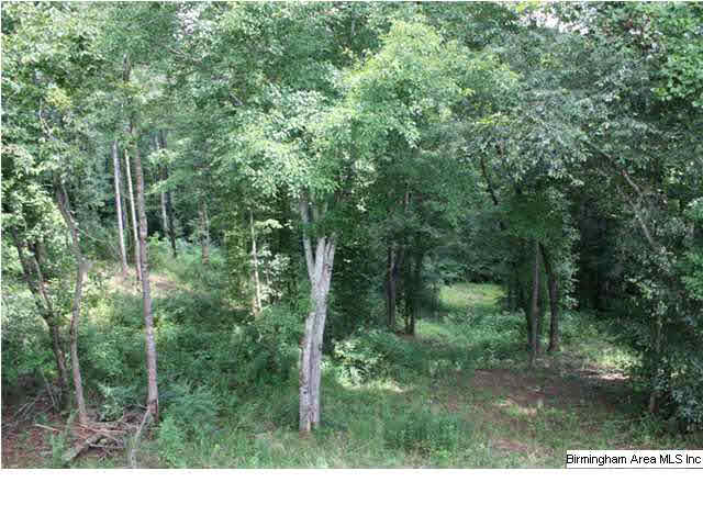 11315 Cragford Road Cragford, AL 36255 - Photo 25 of 32
