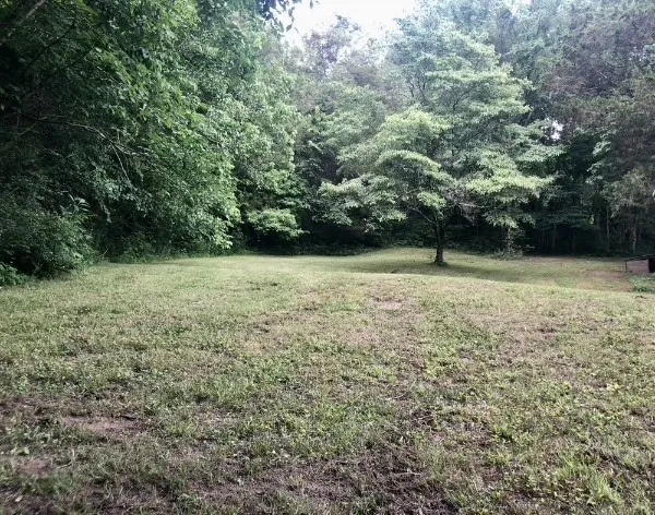 $380,000 | 5148 Jones Valley Road, Williamsport, TN 38487