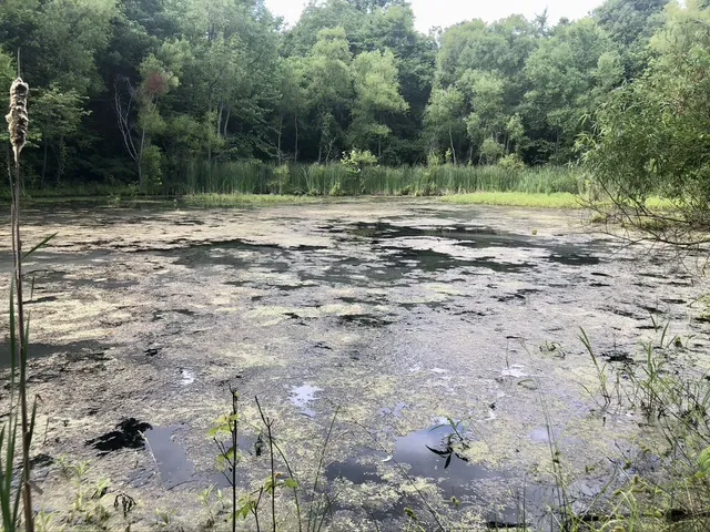 $380,000 | 5148 Jones Valley Road, Williamsport, TN 38487