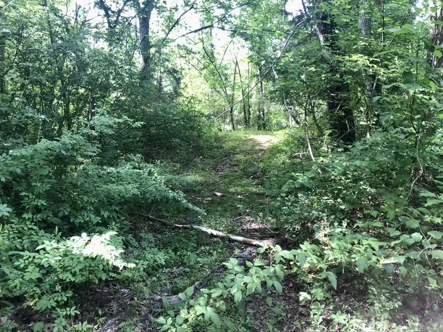 $380,000 | 5148 Jones Valley Road, Williamsport, TN 38487