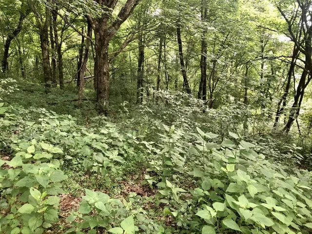 $380,000 | 5148 Jones Valley Road, Williamsport, TN 38487