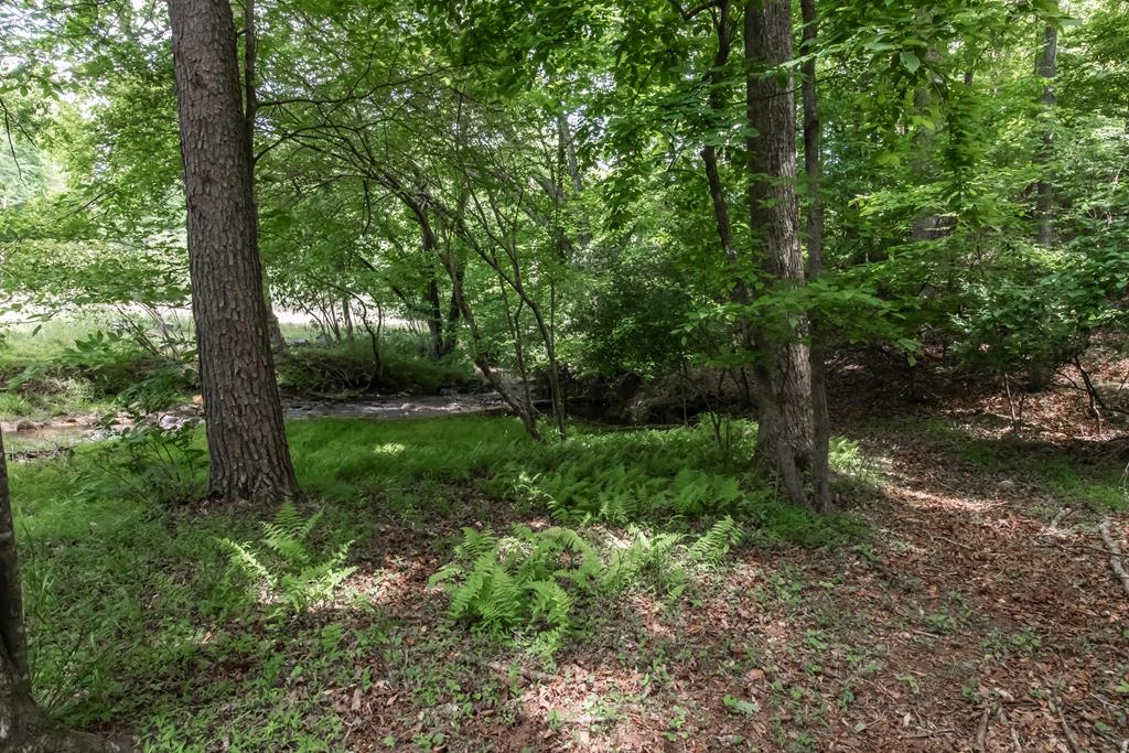 328 Black Ankle Creek Road Cherry Log, GA 30522 - Photo 78 of 103 a view of a yard with a tree