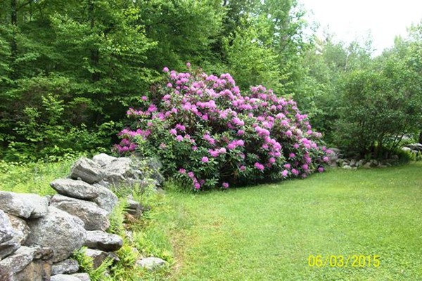 15 Gibson Road Ashburnham, MA 01430 - Photo 3 of 8 Gallery Image 3