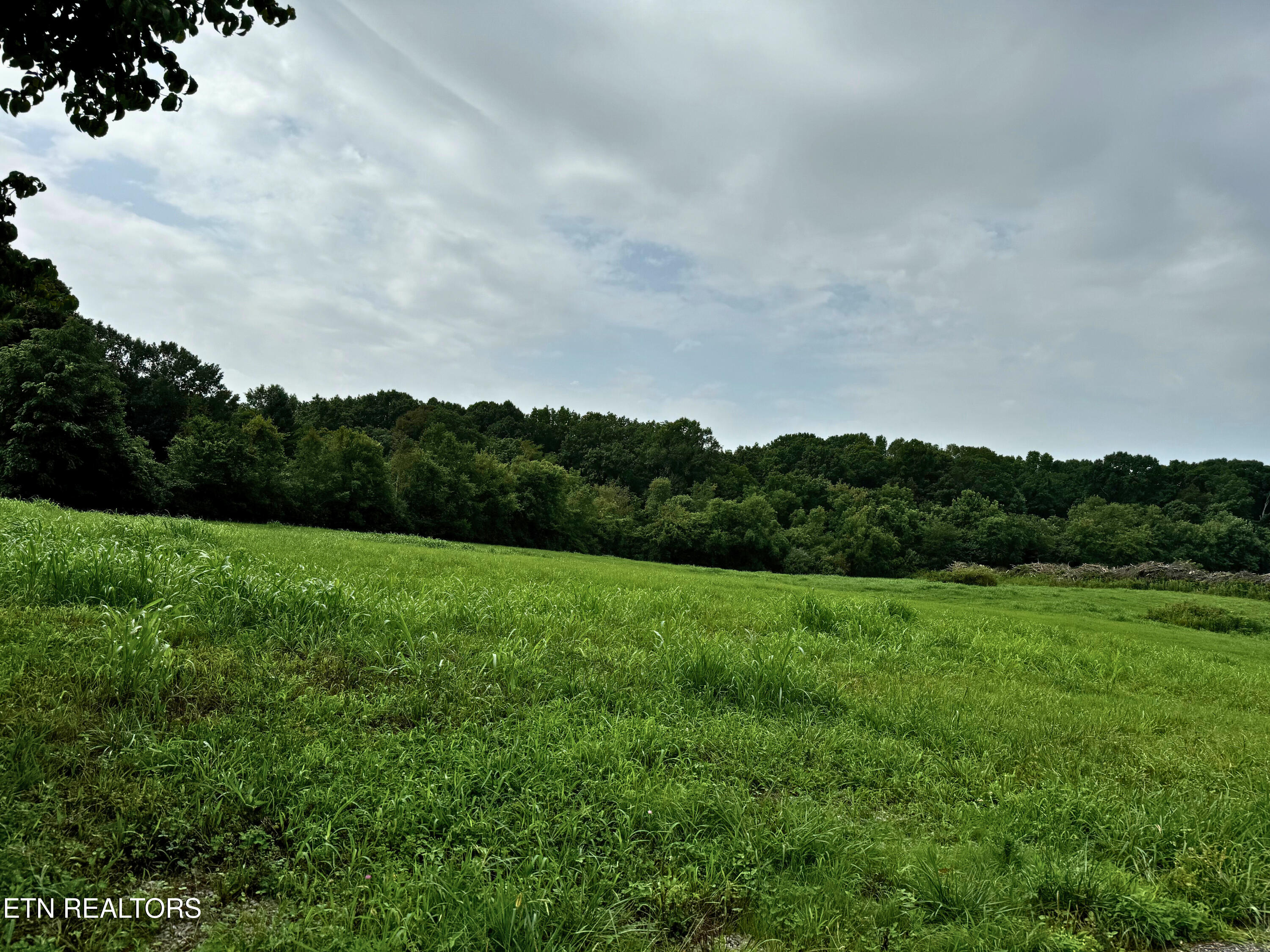 600 Bell View Greenback, TN 37742 - Photo 6 of 26 f9a38fd1-0a7c-4f22-b45c-c5000d15c021