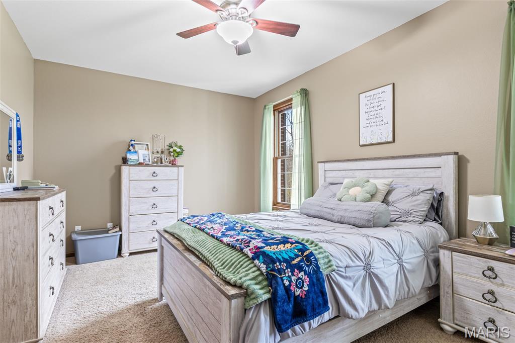 414 Silver Creek Road Farmington, MO 63640 - Photo 55 of 99