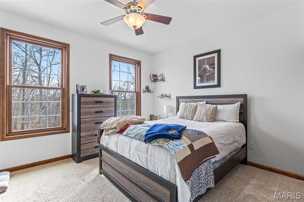 414 Silver Creek Road Farmington, MO 63640 - Photo 58 of 99