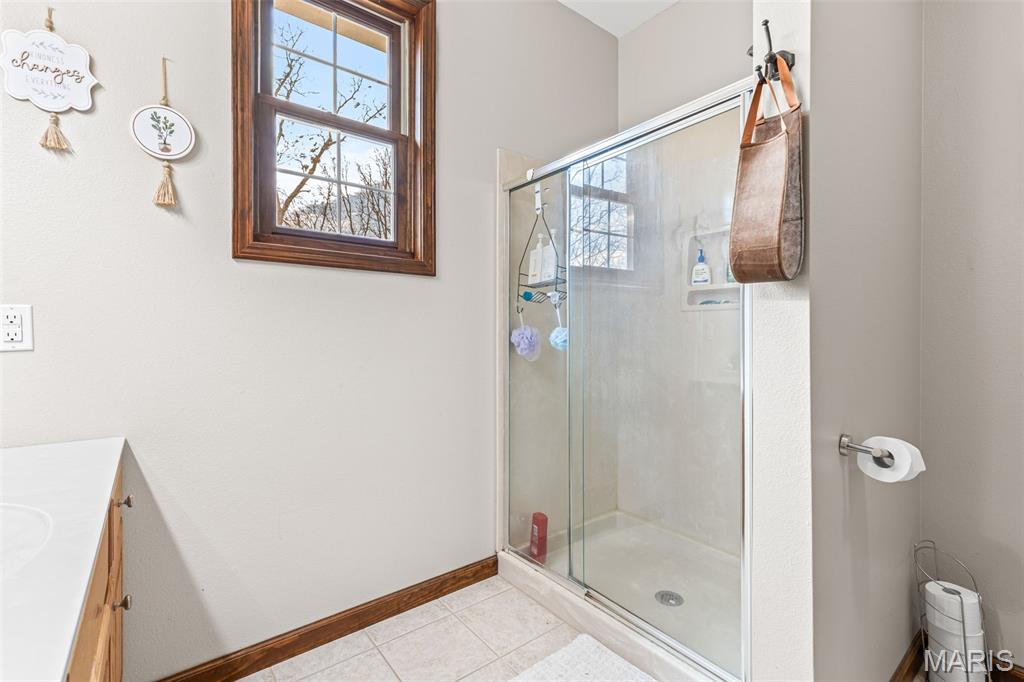 414 Silver Creek Road Farmington, MO 63640 - Photo 61 of 99