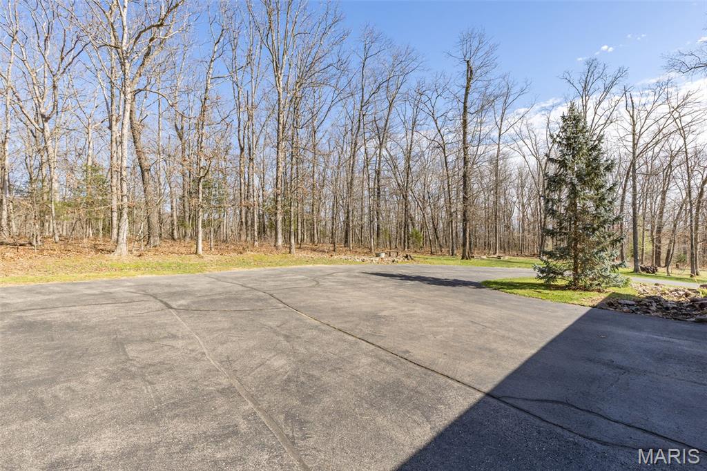 414 Silver Creek Road Farmington, MO 63640 - Photo 7 of 99