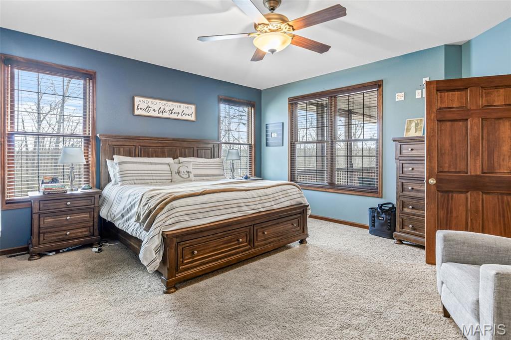 414 Silver Creek Road Farmington, MO 63640 - Photo 71 of 99