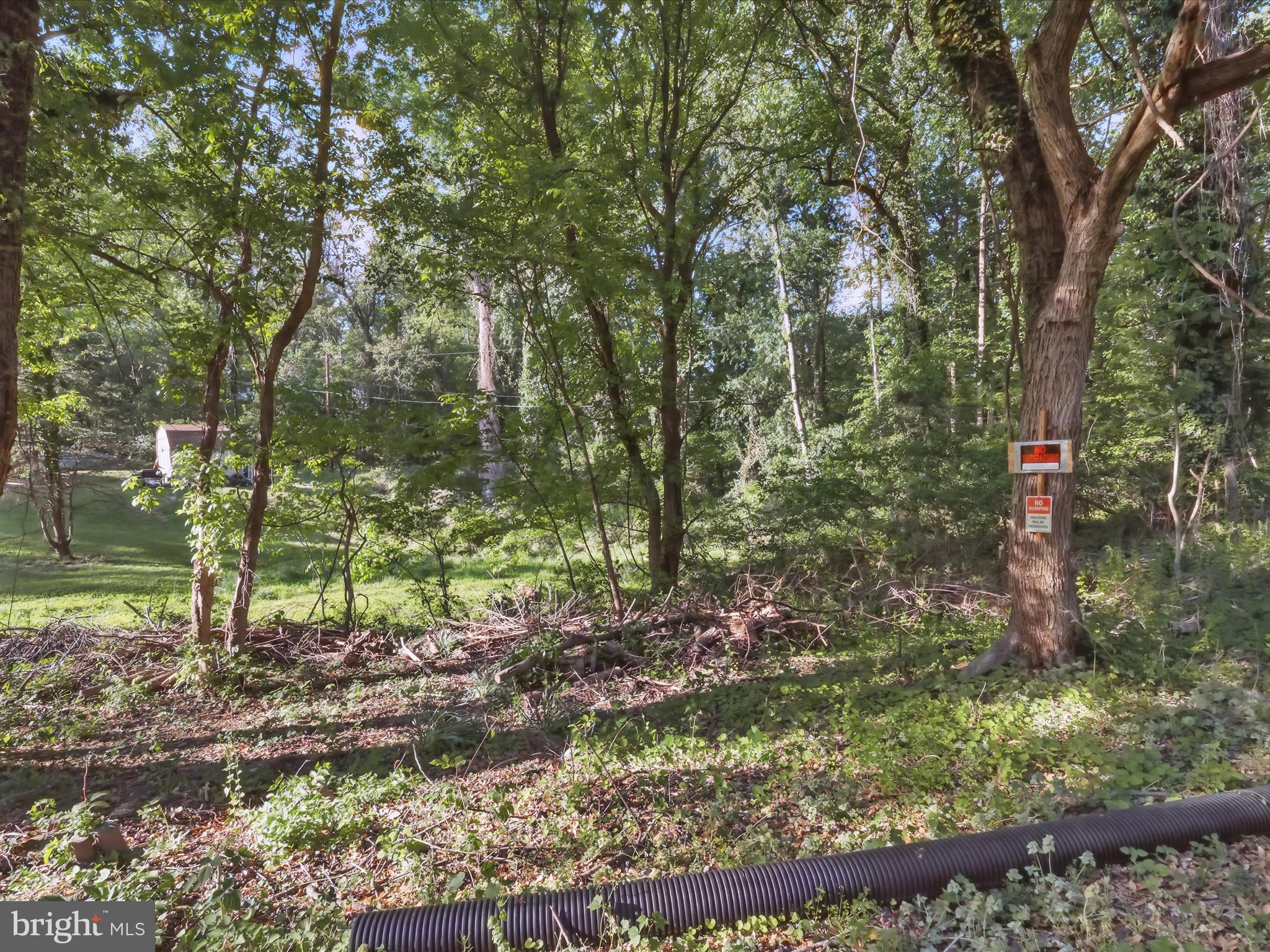 5625 Oakford Road Capitol Heights, MD 20743 - Photo 2 of 10 a view of a forest with a tree