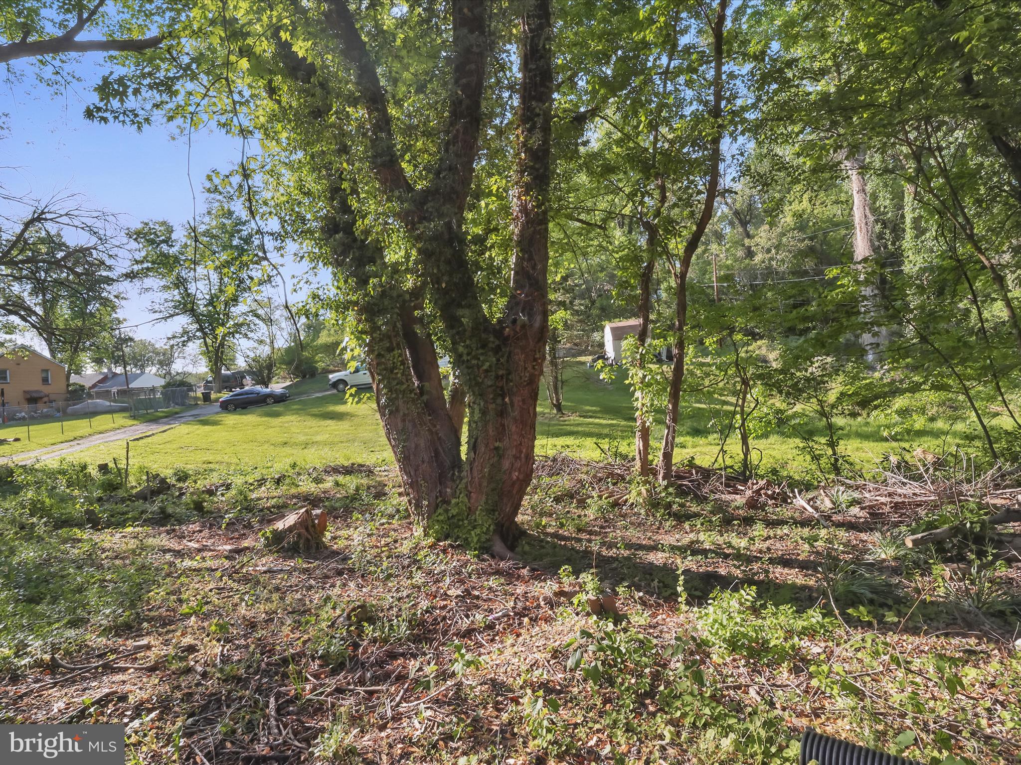 5625 Oakford Road Capitol Heights, MD 20743 - Photo 3 of 10 a view of a trees in a yard