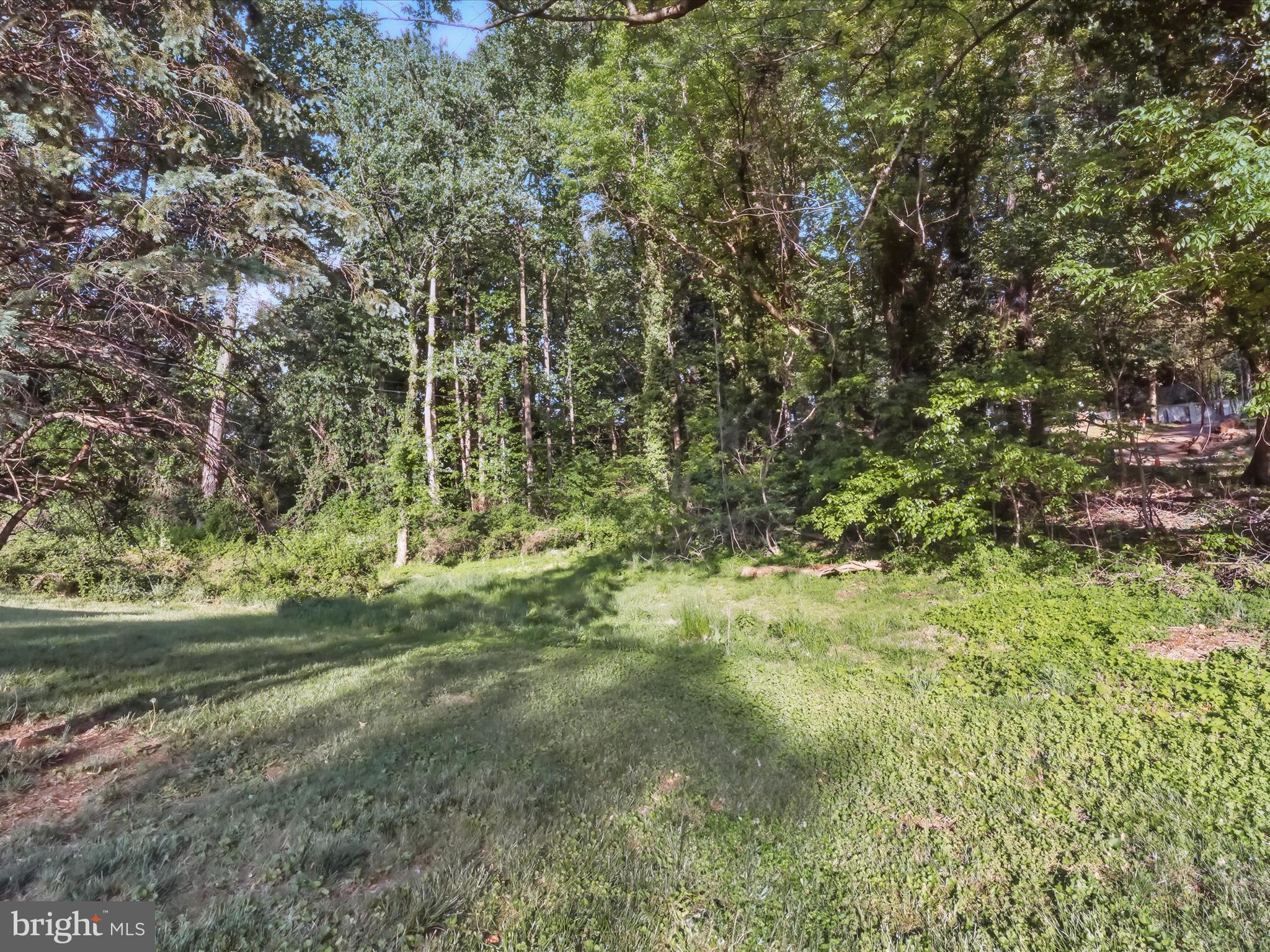 5625 Oakford Road Capitol Heights, MD 20743 - Photo 4 of 10 a view of a yard with an trees