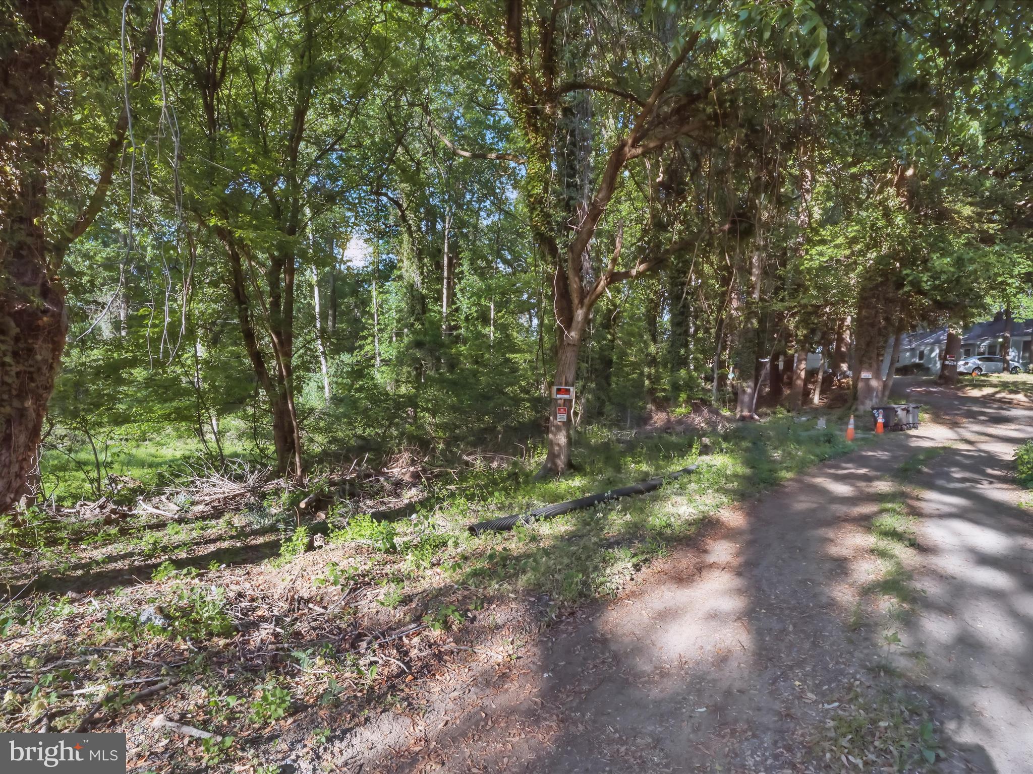 5625 Oakford Road Capitol Heights, MD 20743 - Photo 5 of 10 a view of a forest with trees