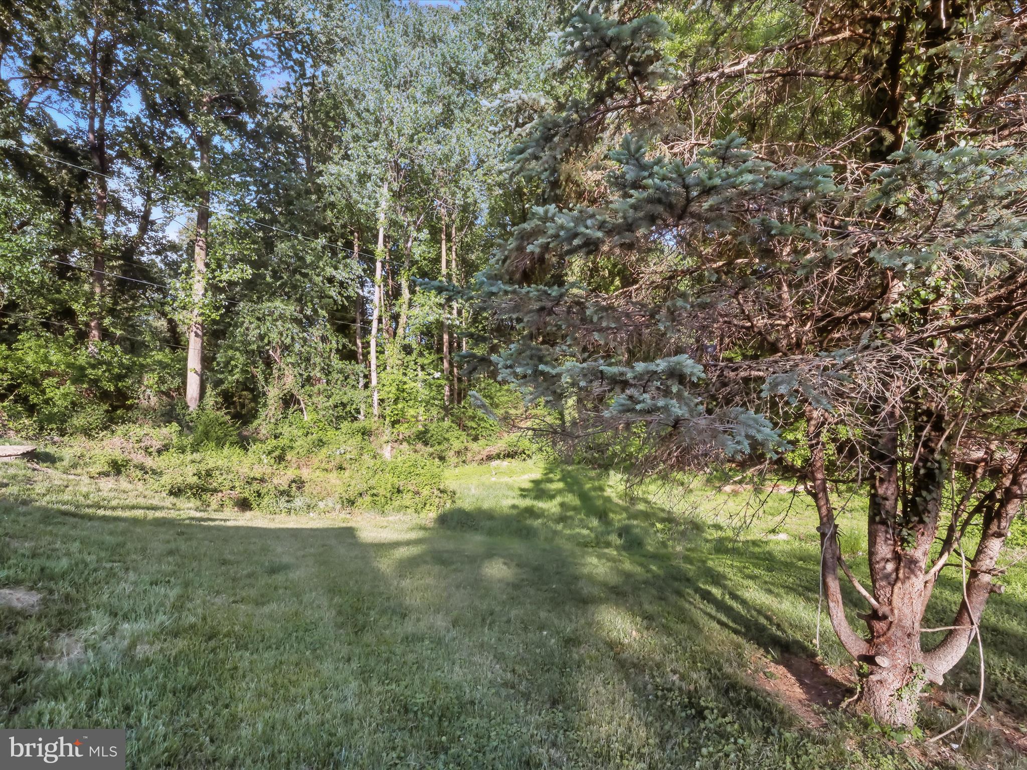 5625 Oakford Road Capitol Heights, MD 20743 - Photo 10 of 10 a view of a garden with an trees