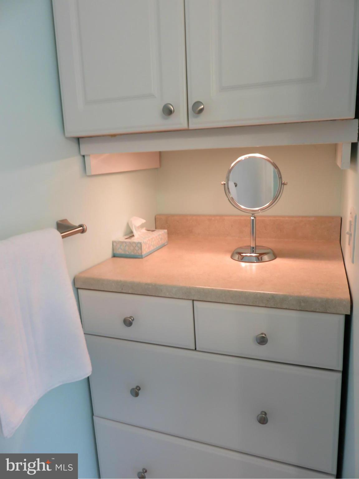 8102 Pleasant Plains Road Baltimore, MD 21286 - Photo 22 of 30 Bath Unique
