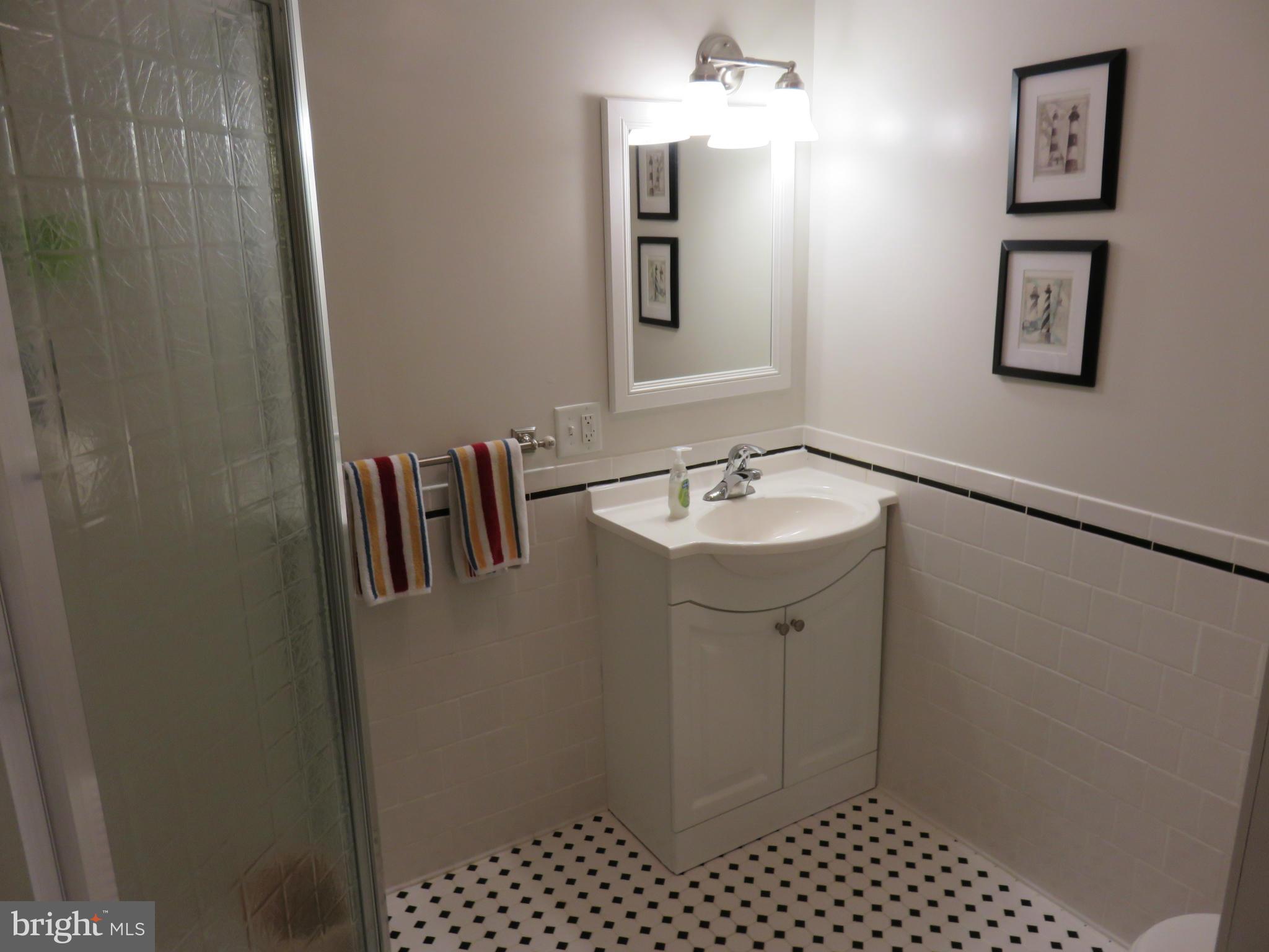 8102 Pleasant Plains Road Baltimore, MD 21286 - Photo 26 of 30 Updated Full Bath #2