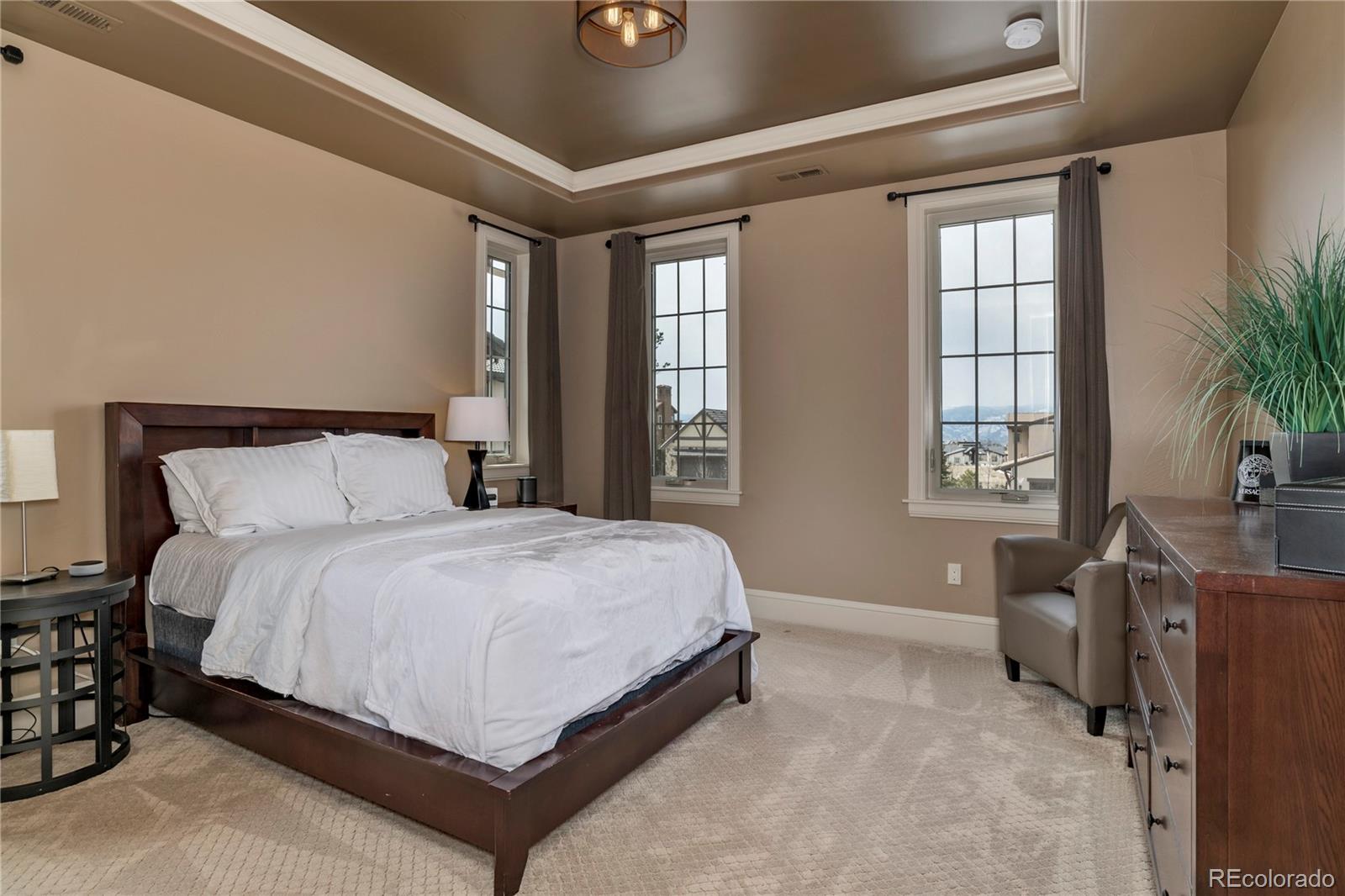 10846 Rainribbon Road Highlands Ranch, CO 80126 - Photo 26 of 35