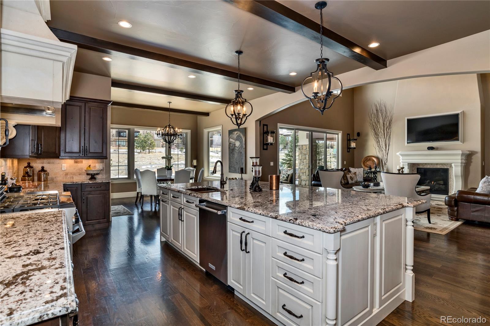 10846 Rainribbon Road Highlands Ranch, CO 80126 - Photo 5 of 35