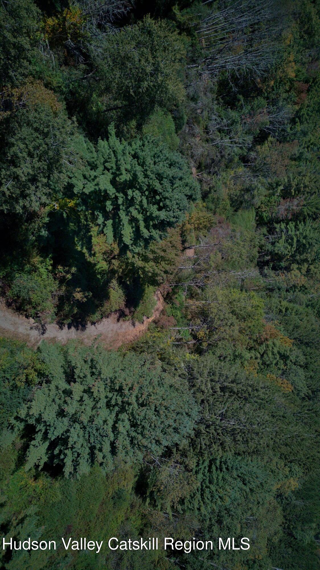 358 West Hill Road Austerlitz, NY 12017 - Photo 11 of 18 a view of a forest with a street
