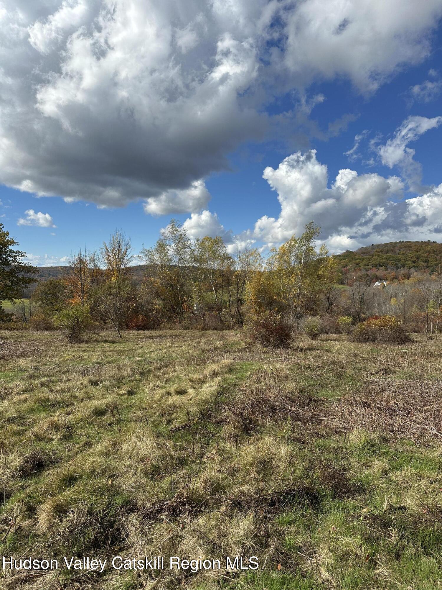 358 West Hill Road Austerlitz, NY 12017 - Photo 15 of 18 a view of a yard