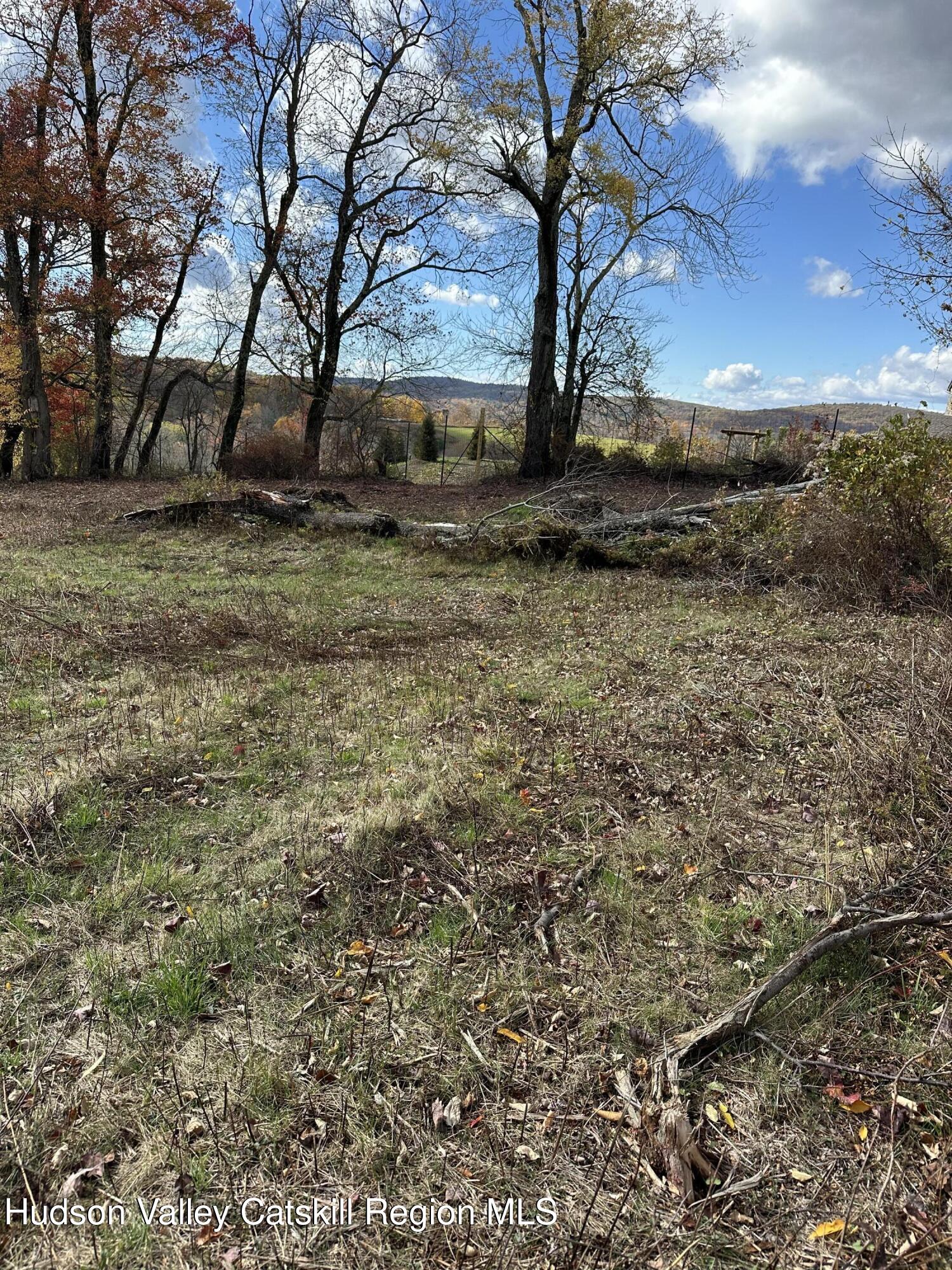 358 West Hill Road Austerlitz, NY 12017 - Photo 18 of 18 a view of yard with green space