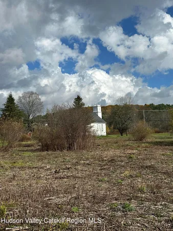 a view of a dry yard