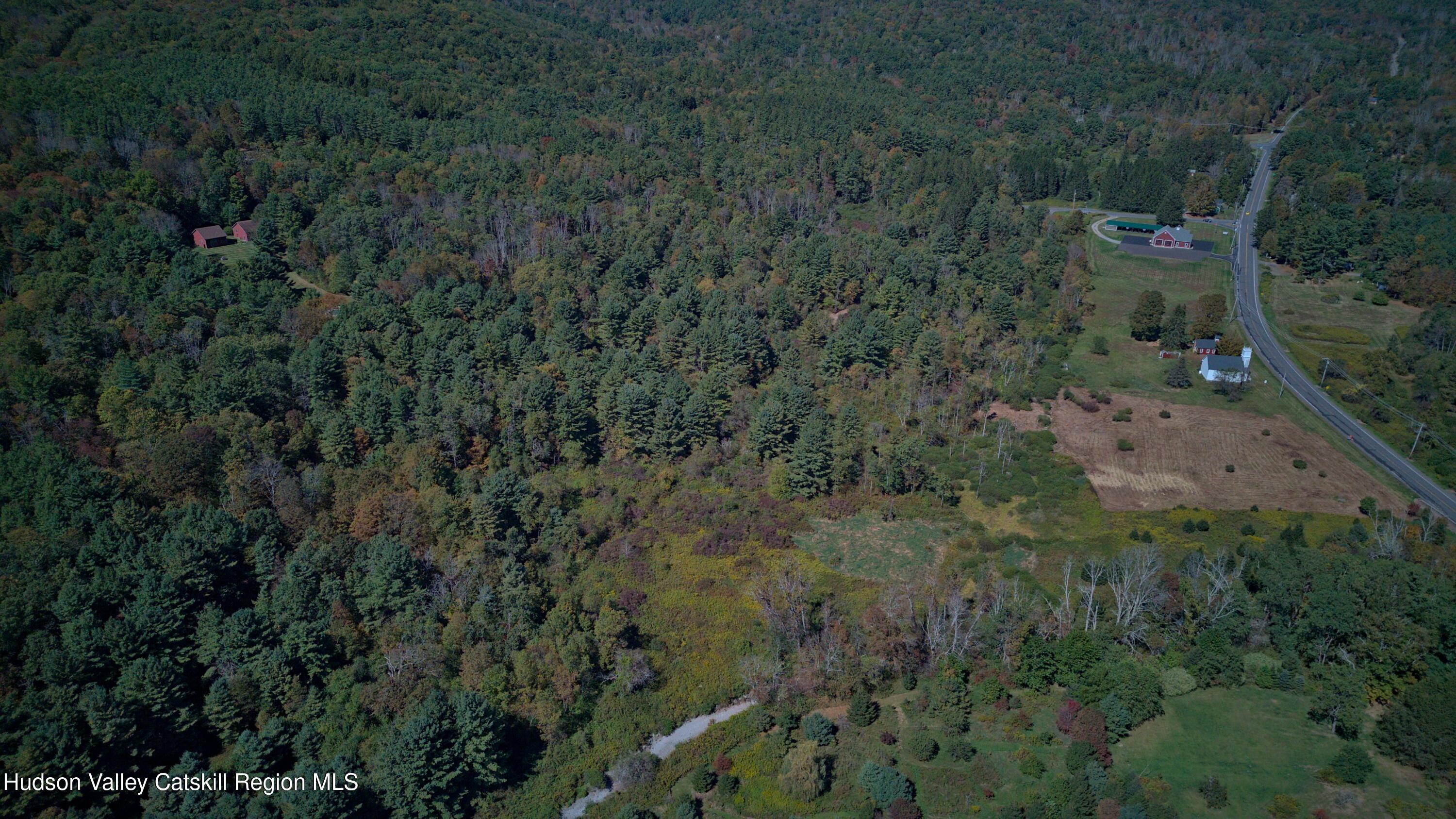 358 West Hill Road Austerlitz, NY 12017 - Photo 4 of 18 a view of a city with lush green forest