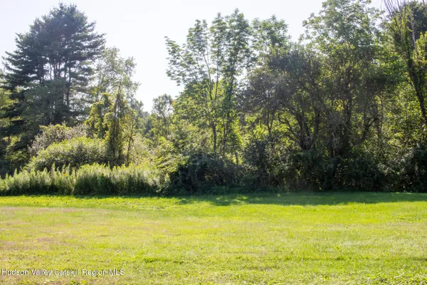 a view of a yard