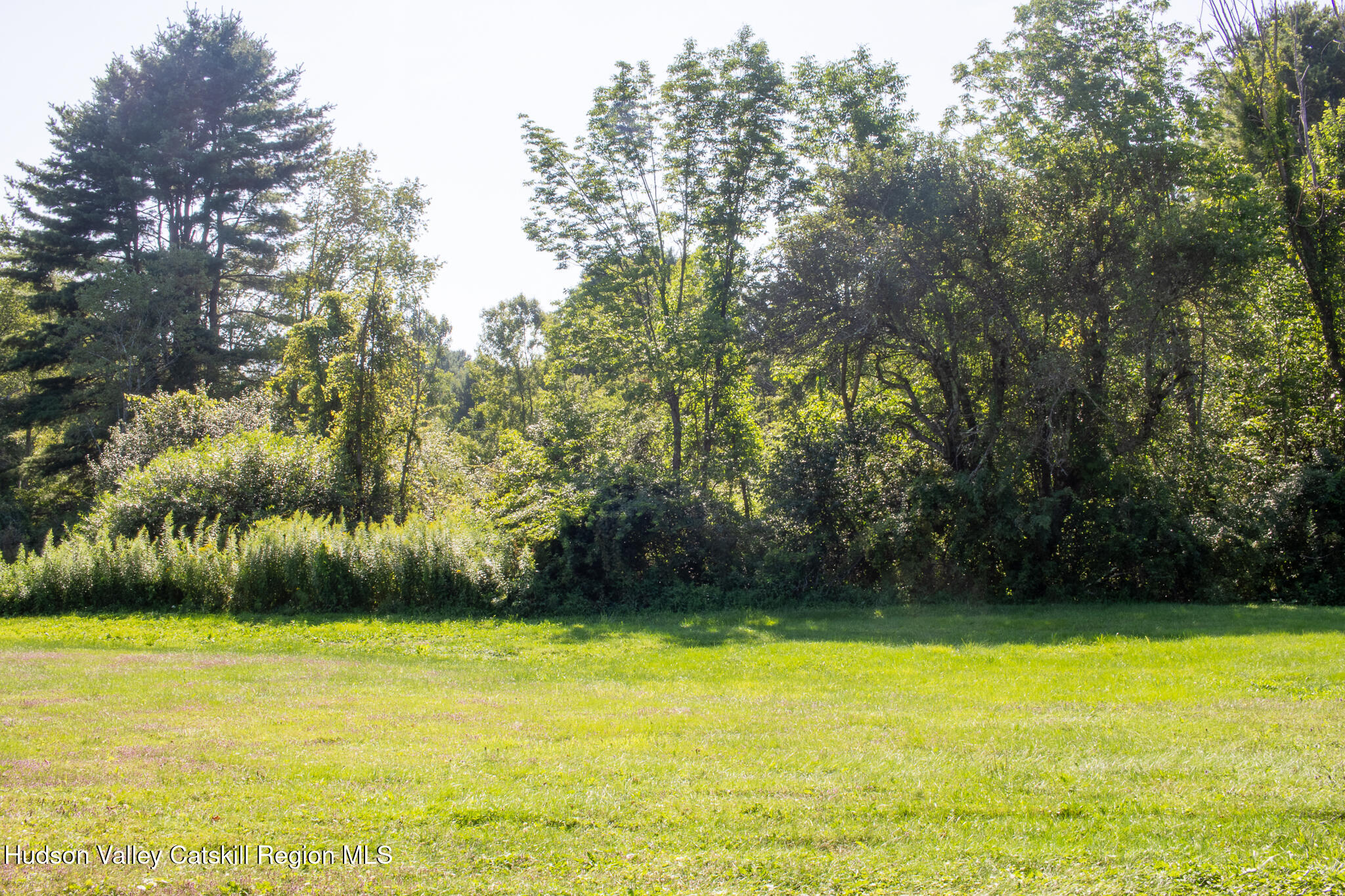 358 West Hill Road Austerlitz, NY 12017 - Photo 5 of 18 a view of a yard