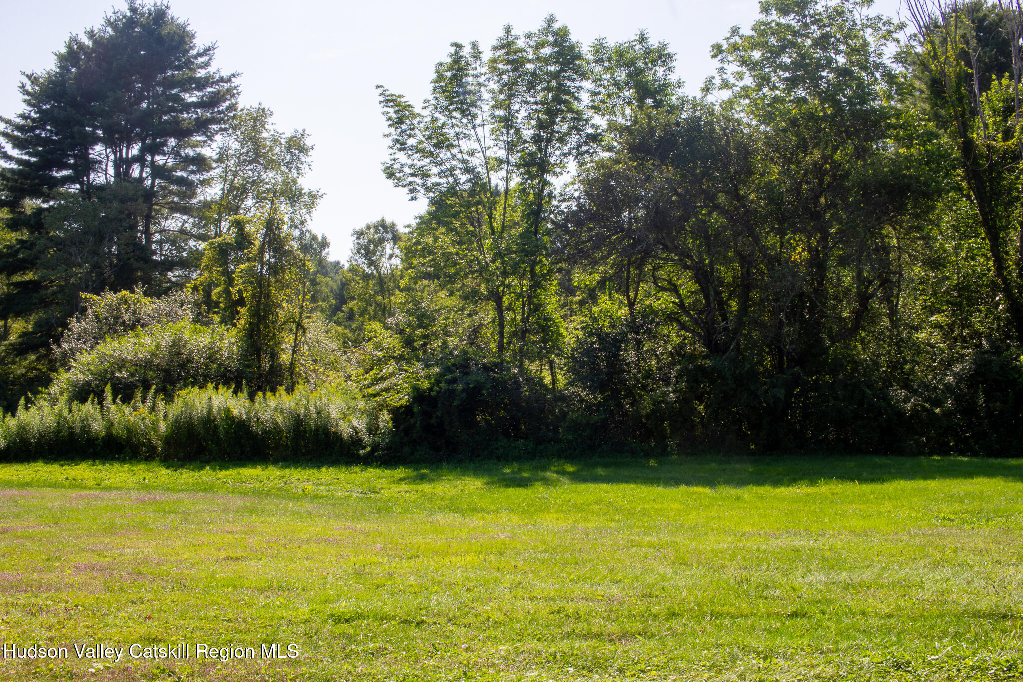 358 West Hill Road Austerlitz, NY 12017 - Photo 6 of 18 a view of outdoor space and yard